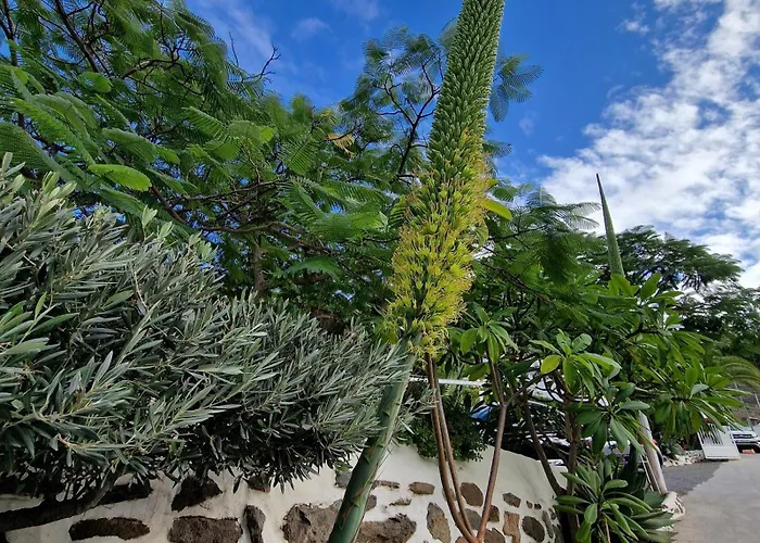 בית נופש Historica Casa Maria