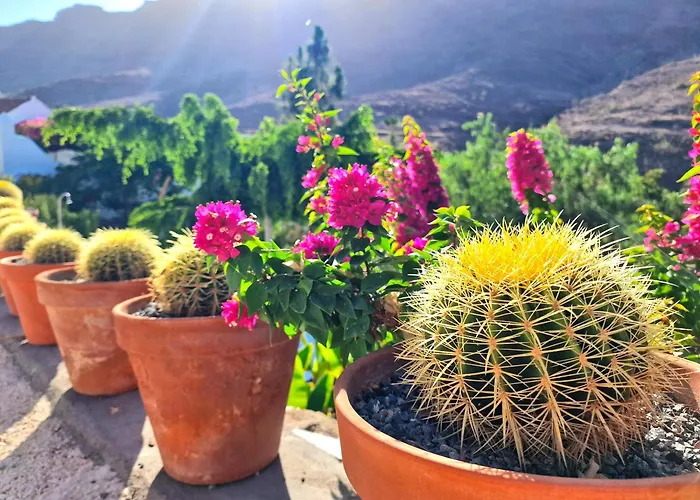 בית נופש Historica Casa Maria